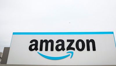 Focus: Amazon sidesteps carbon offset standard Bezos helped fund