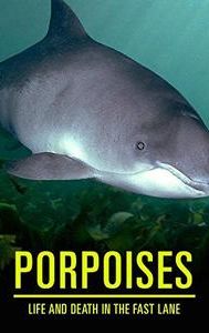 Porpoises: Life and Death in the Fast Lane