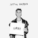 Sorry (Justin Bieber song)