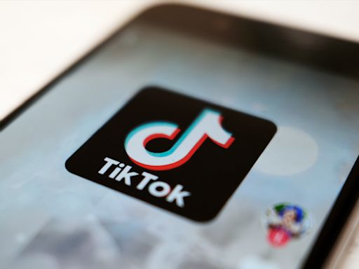 TikTok slams U.S. ‘political demagoguery’ in challenge to possible ban