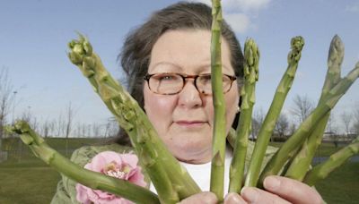 Asparagus fortune teller predicts Royal divorce and outcome of US election