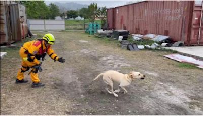 超強台灣搜救犬！ 揭訓練秘辛大公開 | 蕃新聞