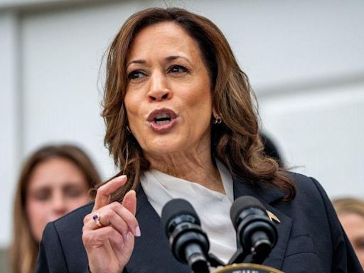 Kamala Harris attacks Trump over 'fear and hate' at first rally