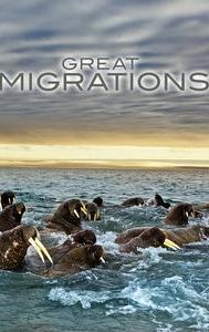 Great Migrations