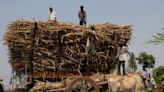 Indian sugar production concerns drive local prices to 6-year high