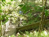 Devil's Millhopper Geological State Park