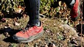 The Best Salomon Running Shoes On and Off The Trail