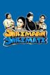Shrimaan Shrimati (TV series)