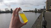 ‘High levels of E.coli found in Thames’ ahead of Oxbridge Boat Race