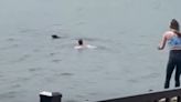 Man Jumps Into River To Save Dog Desperately Treading Water