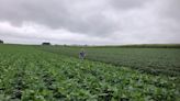 'Off the charts' chemical shortages hit U.S. farms