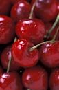 Bing cherry