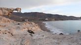 La playa española dentro de un parque natural que tiene dunas fosilizadas