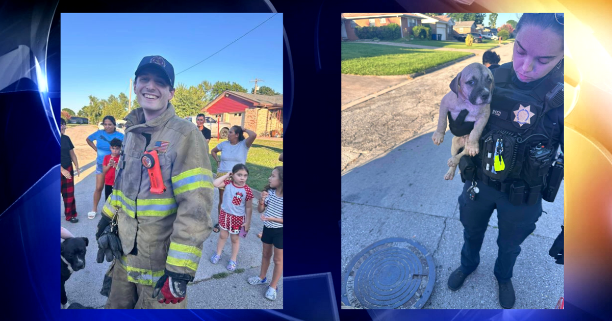 Tulsa firefighters, police officers rescue 3 dogs out of storm drain