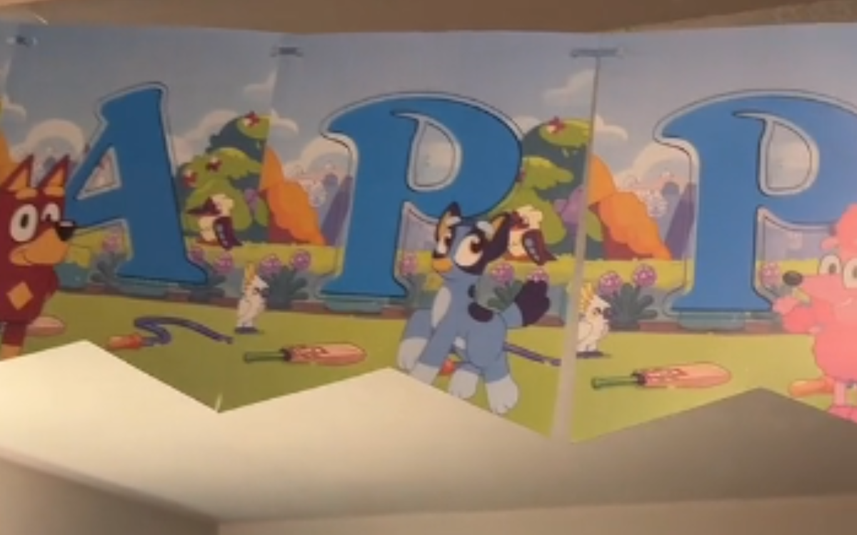 Mom thinks she bought "Bluey" birthday decorations, then she looks closer