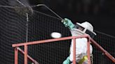 Swarm of bees delays Arizona Diamondbacks vs. Los Angeles game in Arizona - Boston News, Weather, Sports | WHDH 7News