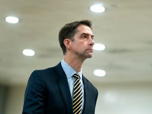 Cotton says Trump’s ‘you won’t have to vote anymore’ comment was him ‘obviously making a joke’