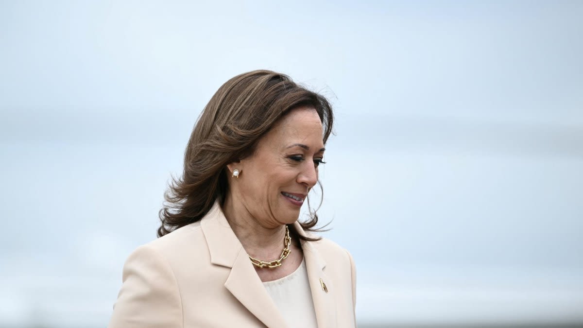 Harris' Wall Street allies strategize on private call, Rubin, Lasry, Wolf among them
