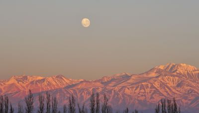 El enoturismo marca tendencia: en la primera mitad del año abrieron cuatro nuevos hoteles en Mendoza