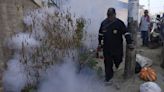 Peru has declared a health emergency in most of its provinces as dengue cases soar