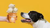 Van Leeuwen releases its first-ever ice cream for dogs