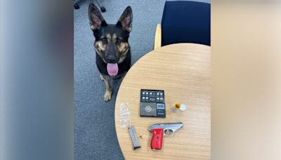 Stolen gun, drugs recovered by K9 in San Mateo Co. traffic stop: sheriff