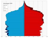 Demographics of Montenegro