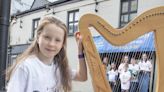 Leinster Fleadh fundraising continues as 5,000 visitors expected in Wicklow