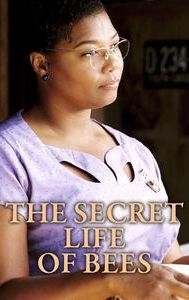 The Secret Life of Bees (film)