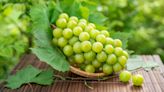What Are Korean Shine Muscat Grapes And Why Are They Expensive?