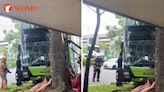 SMRT bus driver, 58, dies after crashing bus into tree at Woodlands