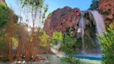 Dozens of hikers became ill during trips to waterfalls near the Grand Canyon