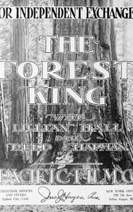 The Forest King