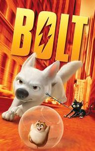 Bolt