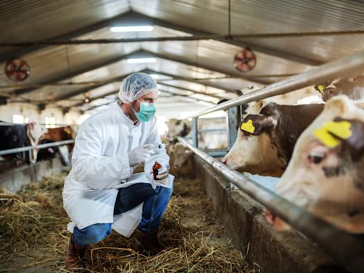 Fourth human case of bird flu diagnosed in Colorado dairy farm worker