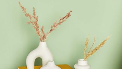Aldi's elegant three-piece vase set looks like H&M Home but costs less than £5