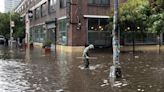 Sea lion breaks free at Central Park Zoo during scary New York City floods