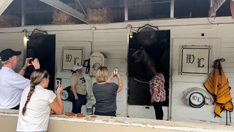 MyRacehorse Celebrates Seize the Grey At Breakfast