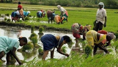 Maharashtra's POCRA Scheme Aims To Revolutionize Farming Practices