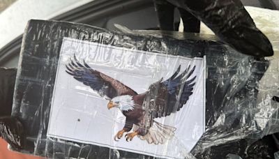 Boaters find $1m worth of cocaine emblazoned with bald eagles floating in Florida Keys