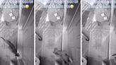 Security footage reveals who has been opening family’s front door nightly: ‘I’ve been grounding the kids’