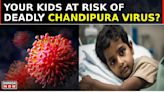 Chandipura Virus Claims Lives Of 6 Children In Gujarat: What Is This New Virus? | Daily Mirror