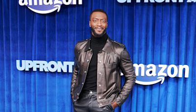 Actor Aldis Hodge Would 'Absolutely' Play Late Bernie Mac in Biopic