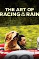 The Art of Racing in the Rain