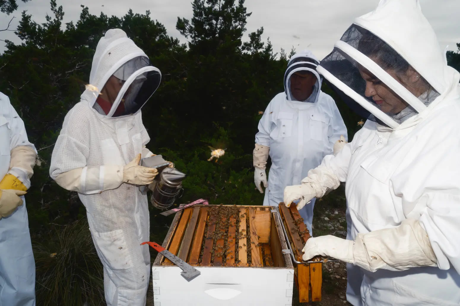 How a chance meeting helped Texas become the nation’s top beekeeping state