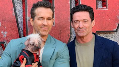 How Peggy the ugliest dog became a hit in Hollywood