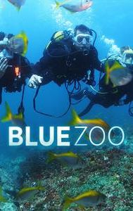 Blue Zoo