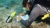 A grave under the ocean? Team finds what could be submerged hospital off Florida Keys