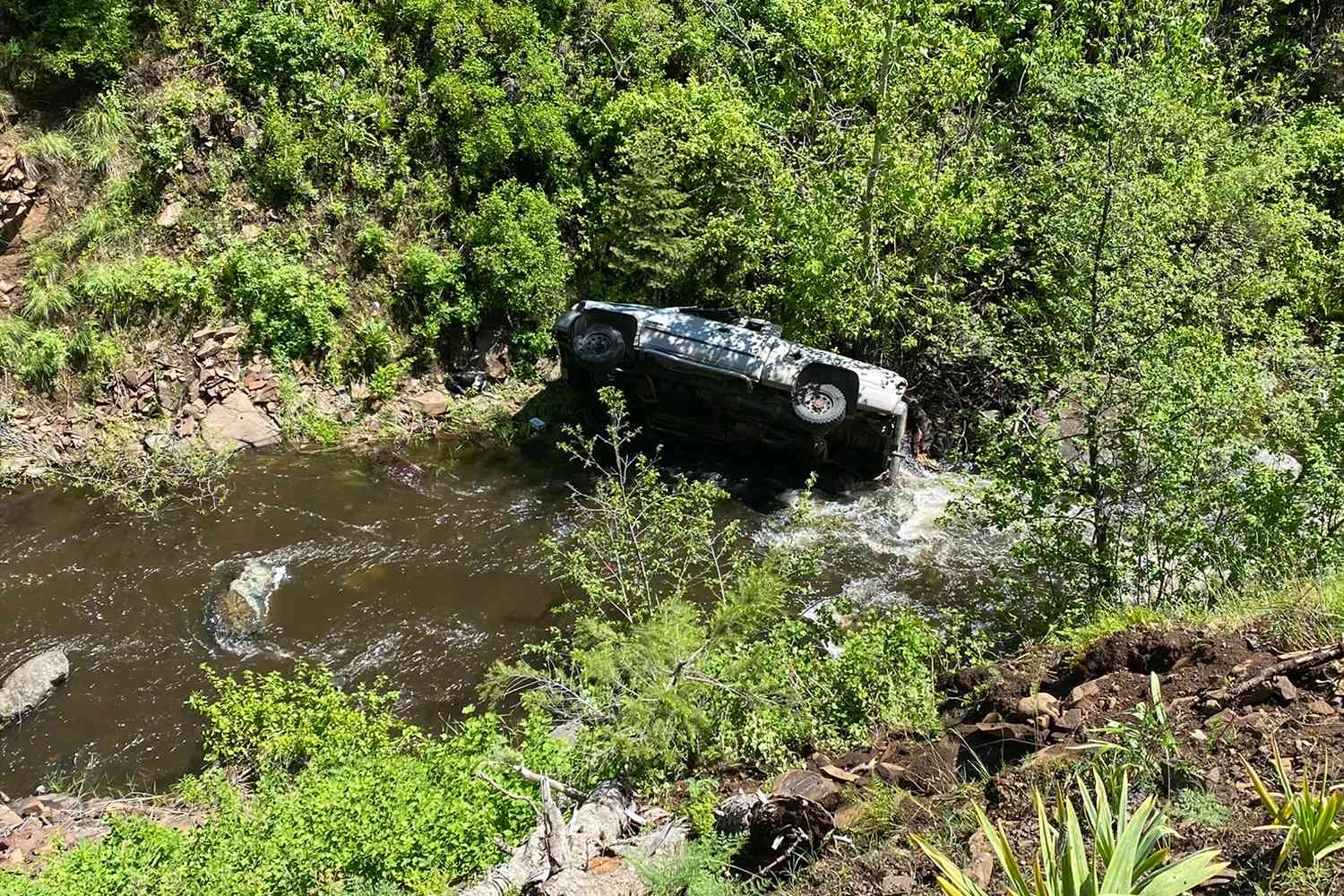 Hero Dog Runs 4 Miles to Get Help for Owner After Oregon Car Crash