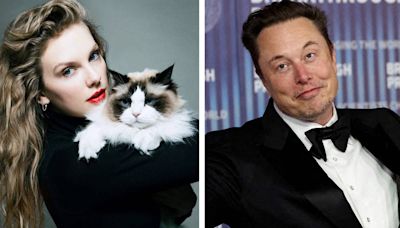 Após declarar apoio a Kamala, Taylor Swift é atacada por Elon Musk: 'Te dou um filho'